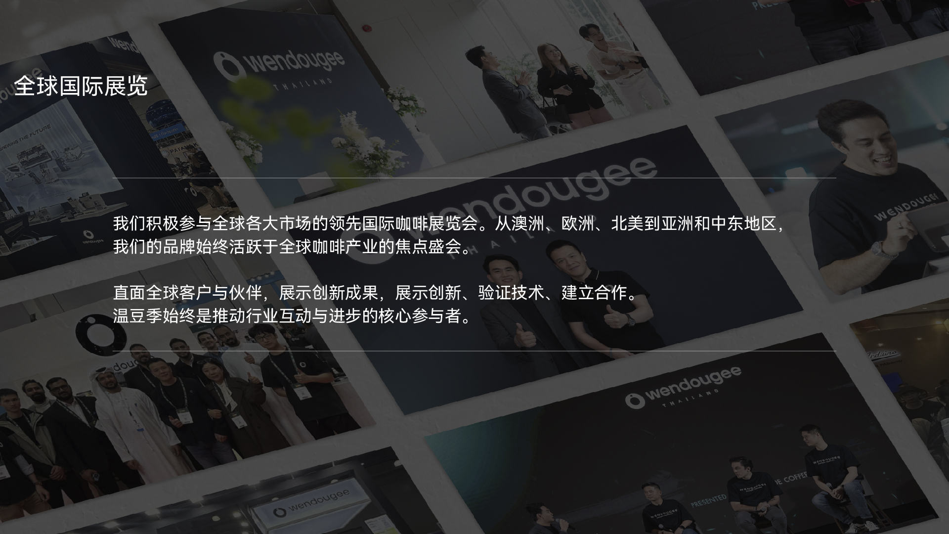 公司概况 8
